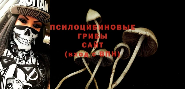 прущие крисы Арсеньев