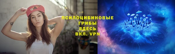 прущие крисы Арсеньев