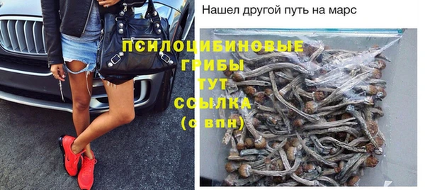прущие крисы Арсеньев