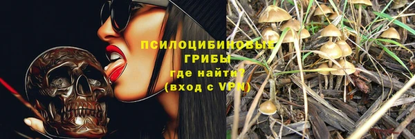прущие крисы Арсеньев