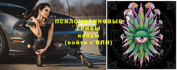 прущий лед Армянск