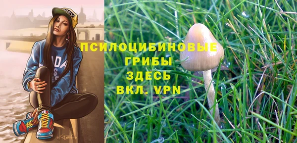 прущие крисы Арсеньев