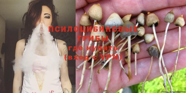 прущие крисы Арсеньев