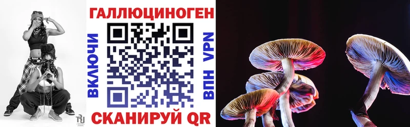 Галлюциногенные грибы Magic Shrooms  купить   Суровикино 